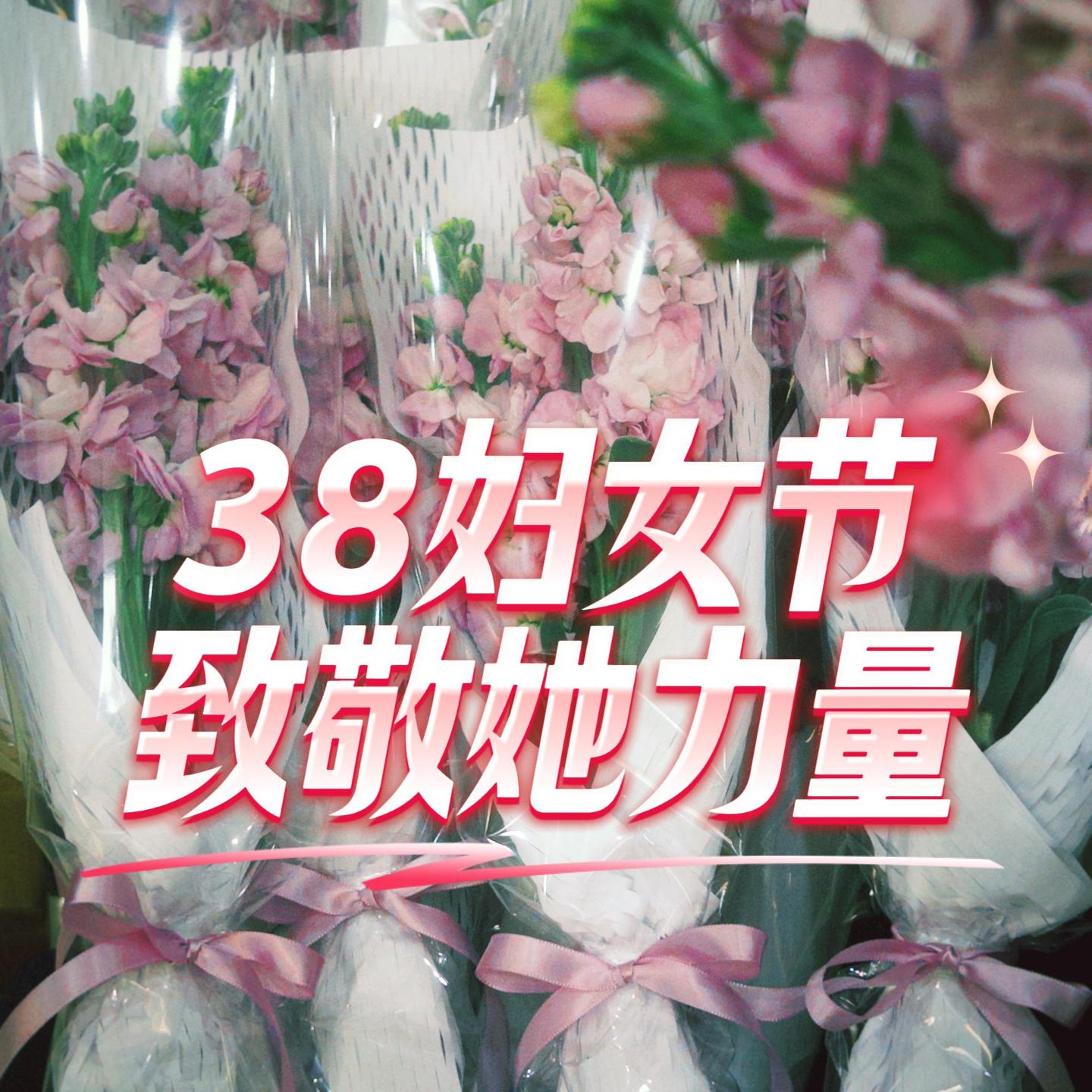 致敬“她”力量,情暖半边天 ——四川宝英举办2026年“三八”妇女节主题关怀活动